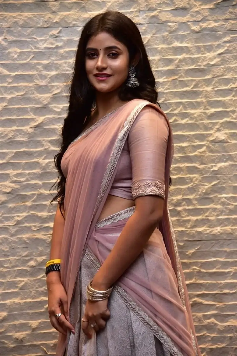 TELUGU ACTRESS SANCHITA BASHU IN PINK SAREE 3